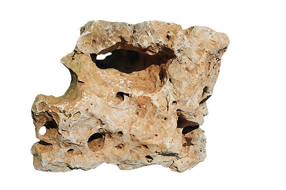 Rocailles Coimbra troués