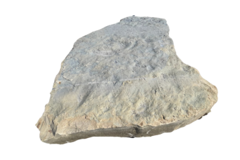 Pas d'éléphant San Vicente